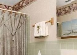 Pre-foreclosure in  TRINITY PL Tampa, FL 33610