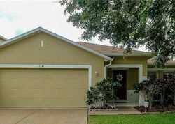 Pre-foreclosure Listing in BROWNWOOD DR MULBERRY, FL 33860