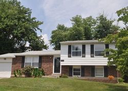 Pre-foreclosure in  REDCOAT CT Louisville, KY 40291