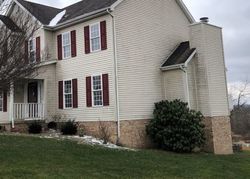 Pre-foreclosure Listing in WYNDALE DR OAKVALE, WV 24739