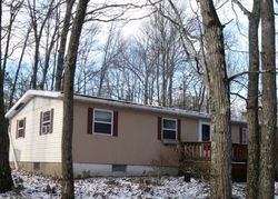 Pre-foreclosure Listing in RUSSELL LN TAFTON, PA 18464