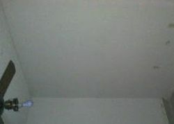 Pre-foreclosure in  SAN FRANCISCO BLVD Orange Park, FL 32065