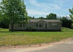 Pre-foreclosure in  RAMS HEAD CT Townville, SC 29689