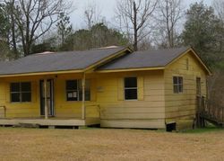 Pre-foreclosure Listing in HAIRSTON BEND RD COLUMBUS, MS 39702