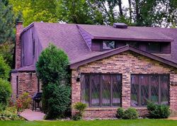 Pre-foreclosure Listing in SMITHWOOD DR MORTON GROVE, IL 60053