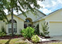 Pre-foreclosure Listing in CRISTELLE JEAN DR RUSKIN, FL 33570