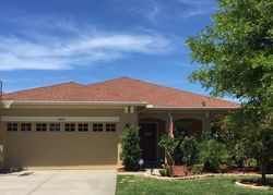 Pre-foreclosure in  WINGLEWOOD CIR Lutz, FL 33558