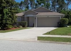  Dahoon Holly Dr, Daytona Beach FL