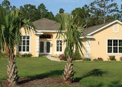 Pre-foreclosure in  N GOLDENBELL WAY Crystal River, FL 34428