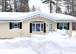 Pre-foreclosure Listing in FLOWAGE LANDING RD CONOVER, WI 54519