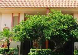 Pre-foreclosure in  LAKEVIEW DR  Fort Lauderdale, FL 33326