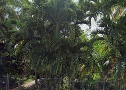 Pre-foreclosure in  NW 112TH ST Miami, FL 33167