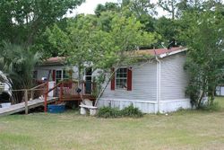 Pre-foreclosure Listing in NW 217TH TER HIGH SPRINGS, FL 32643