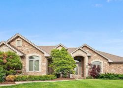 Pre-foreclosure Listing in SYD CREEK DR HOMER GLEN, IL 60491