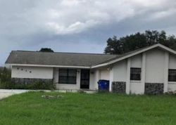 Pre-foreclosure Listing in N LOWELL RD AVON PARK, FL 33825