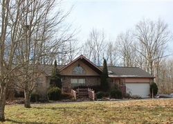 Pre-foreclosure in  RED WING LN Deer Lodge, TN 37726