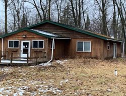 Pre-foreclosure in  DANIKKI DR NE Tenstrike, MN 56683