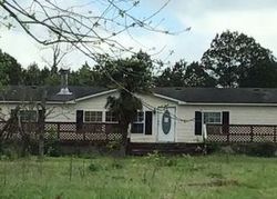 Pre-foreclosure Listing in PETERS RD RAY CITY, GA 31645