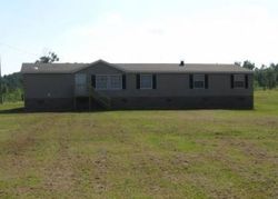 Pre-foreclosure in  DOGTOWN RD Nauvoo, AL 35578