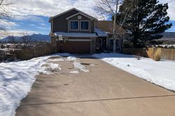 Pre-foreclosure in  CANDLETREE CIR Monument, CO 80132