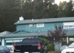 Pre-foreclosure in  COLUSA CT San Bruno, CA 94066