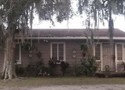 Pre-foreclosure Listing in 279TH ST E MYAKKA CITY, FL 34251