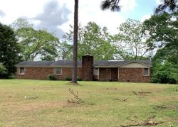 Pre-foreclosure Listing in LOTT RD CHUNCHULA, AL 36521