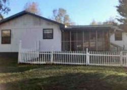 Pre-foreclosure Listing in PEACHTREE ST IDEAL, GA 31041