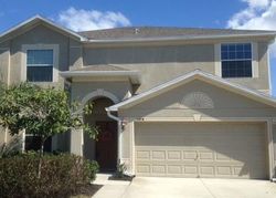 Pre-foreclosure in  MARMALADE CT Land O Lakes, FL 34638