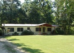 Pre-foreclosure Listing in COUNTY ROAD 6481 DAYTON, TX 77535