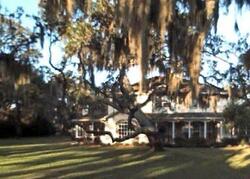 Pre-foreclosure in  SCOTT DR Ormond Beach, FL 32174