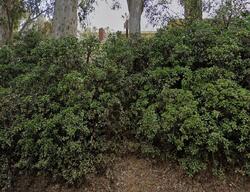 Pre-foreclosure in  CARBON CANYON RD Chino Hills, CA 91709