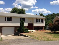 Pre-foreclosure in  TOWNSHIP ROAD 1301 Chesapeake, OH 45619