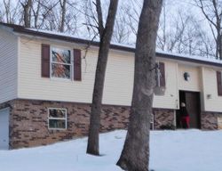 Pre-foreclosure Listing in BIRCH RD EAST STROUDSBURG, PA 18302