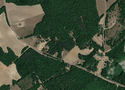Pre-foreclosure in  REDMOND MILL RD Swansea, SC 29160