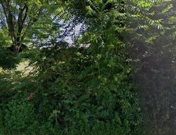 Pre-foreclosure in  OLD COUNTY HOME RD Asheville, NC 28806