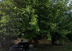  Terrace Way, Bakersfield CA