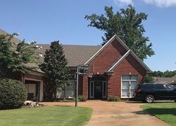 Pre-foreclosure in  GOLDSPRING LN Arlington, TN 38002