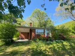 Pre-foreclosure Listing in WATSON LN SPRING CITY, TN 37381