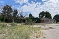 Pre-foreclosure Listing in W CHERRY LN CARLSBAD, NM 88220