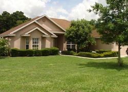 Pre-foreclosure in  ALAMANDA HILLS BLVD Lakeland, FL 33813