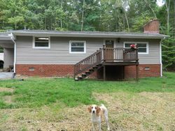 Pre-foreclosure in  DICKS CREEK RD New Castle, VA 24127