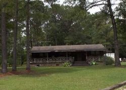 Pre-foreclosure Listing in DAUPHIN ISLAND PKWY THEODORE, AL 36582