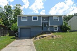 Pre-foreclosure Listing in HORIZON CIR FT MITCHELL, KY 41017