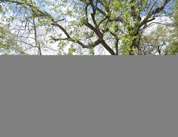 Pre-foreclosure in  HIGH ST Auburn, CA 95603