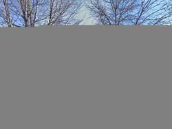 Pre-foreclosure in  PARK LN Monsey, NY 10952