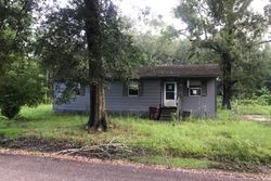 Pre-foreclosure in  TIGER BLUFF CIR Maurepas, LA 70449