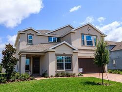 Pre-foreclosure in  CANDLENUT CIR Apopka, FL 32712
