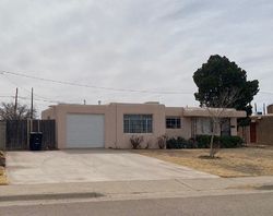 Pre-foreclosure Listing in SNOW DR ALAMOGORDO, NM 88310