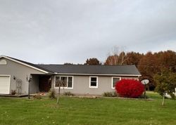 Pre-foreclosure Listing in WILLOW RD LODI, OH 44254